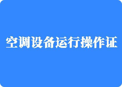 日死老女人逼制冷工证