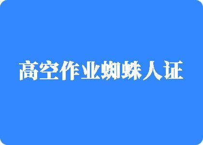 影操逼视频高空作业蜘蛛人证